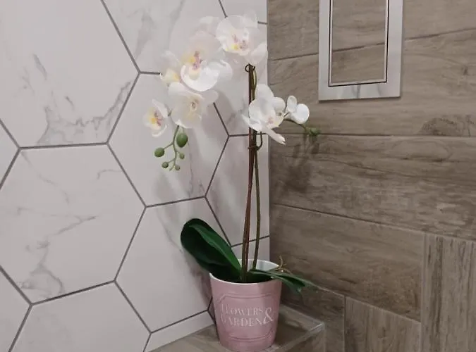 Tara Deluxe ヴァルナ